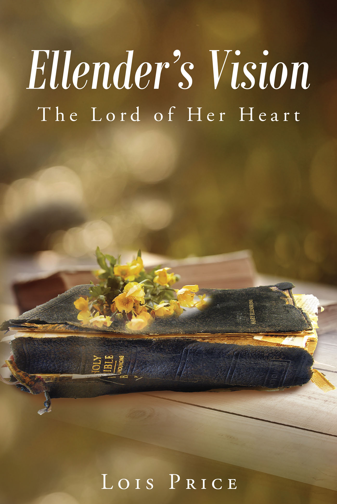 Ellender's Vision: The Lord of Her Heart Cover Image