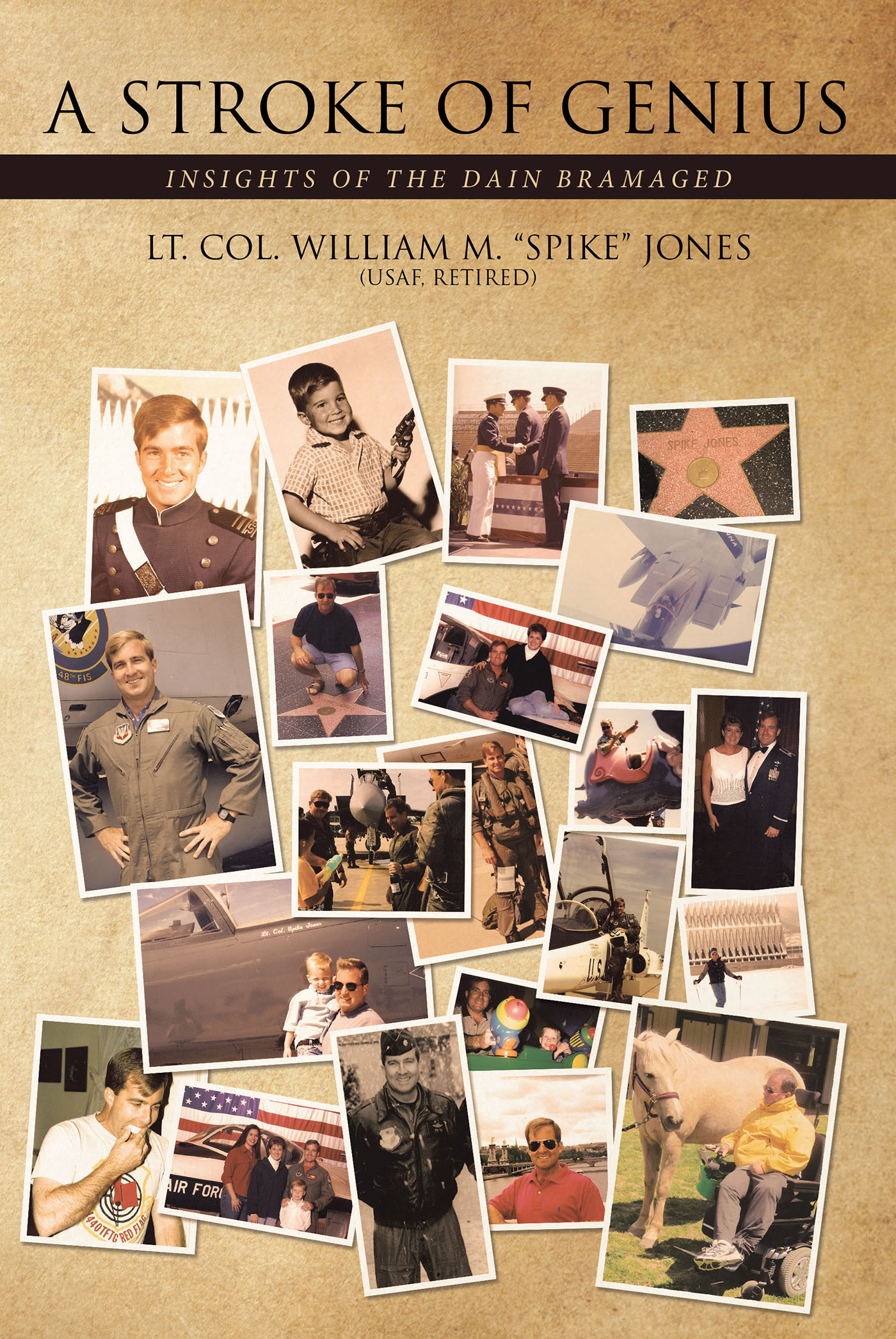 A Stroke of Genius Cover Image