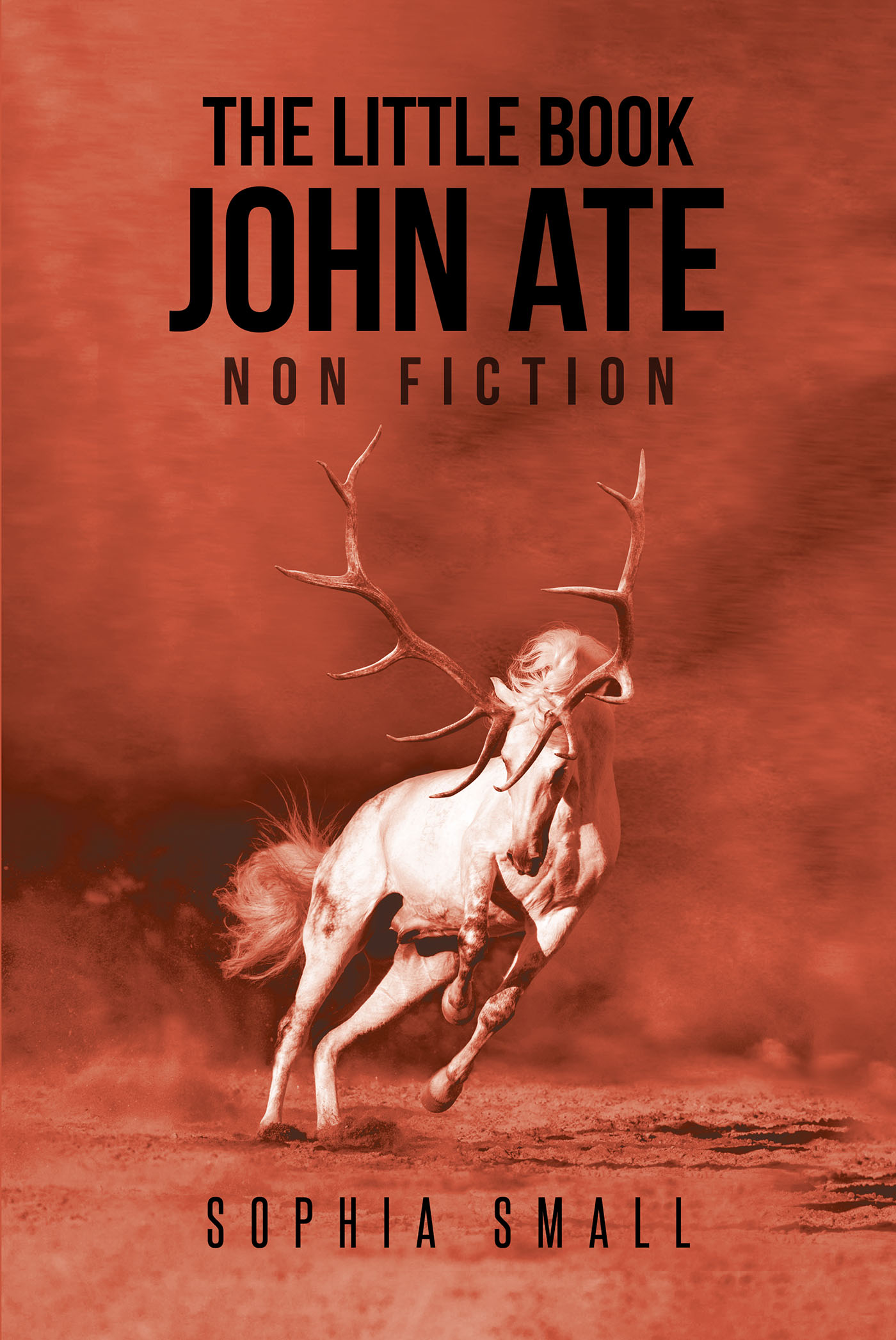 The Little Book John Ate Cover Image