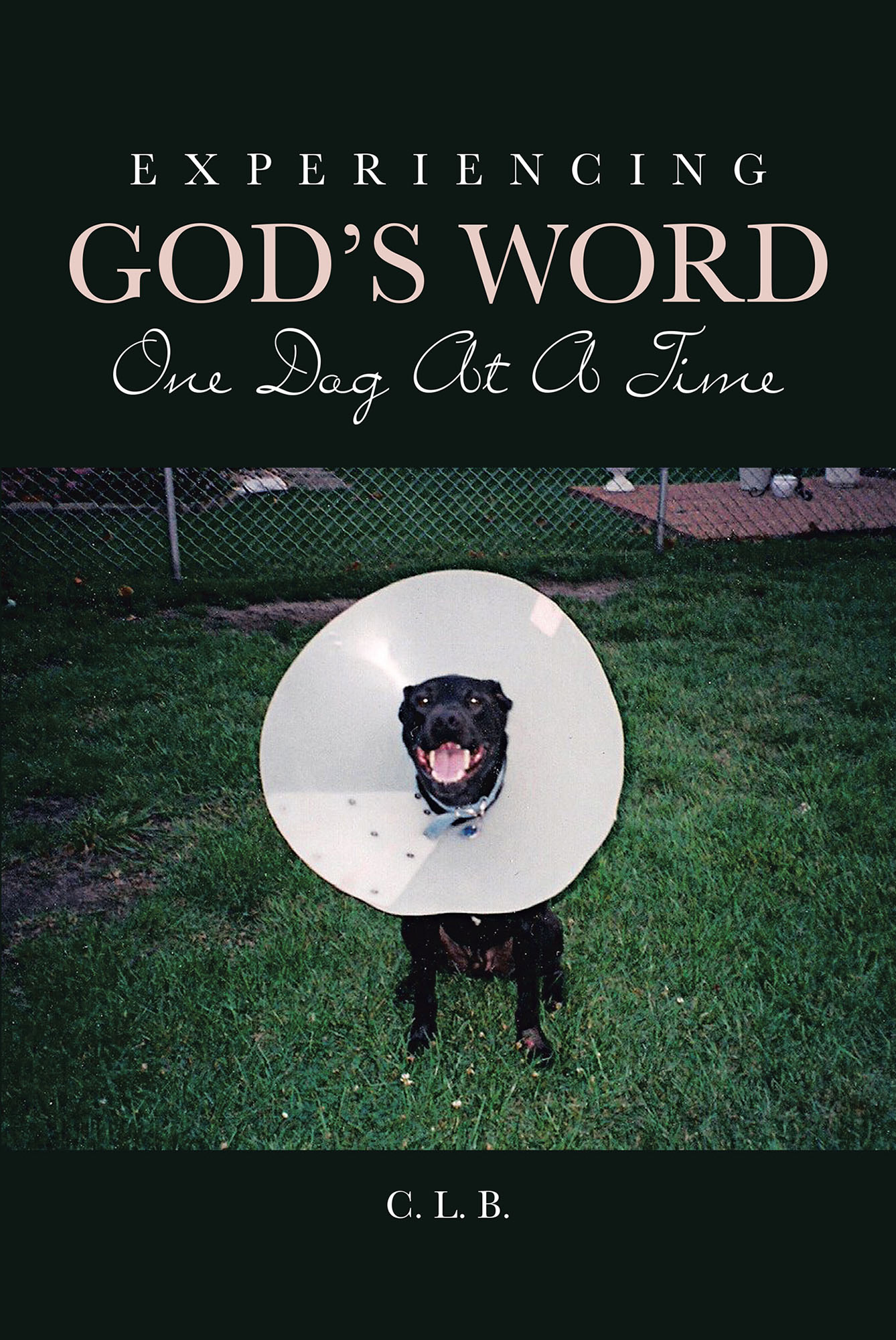 Experiencing God's Word One Dog At A Time Cover Image