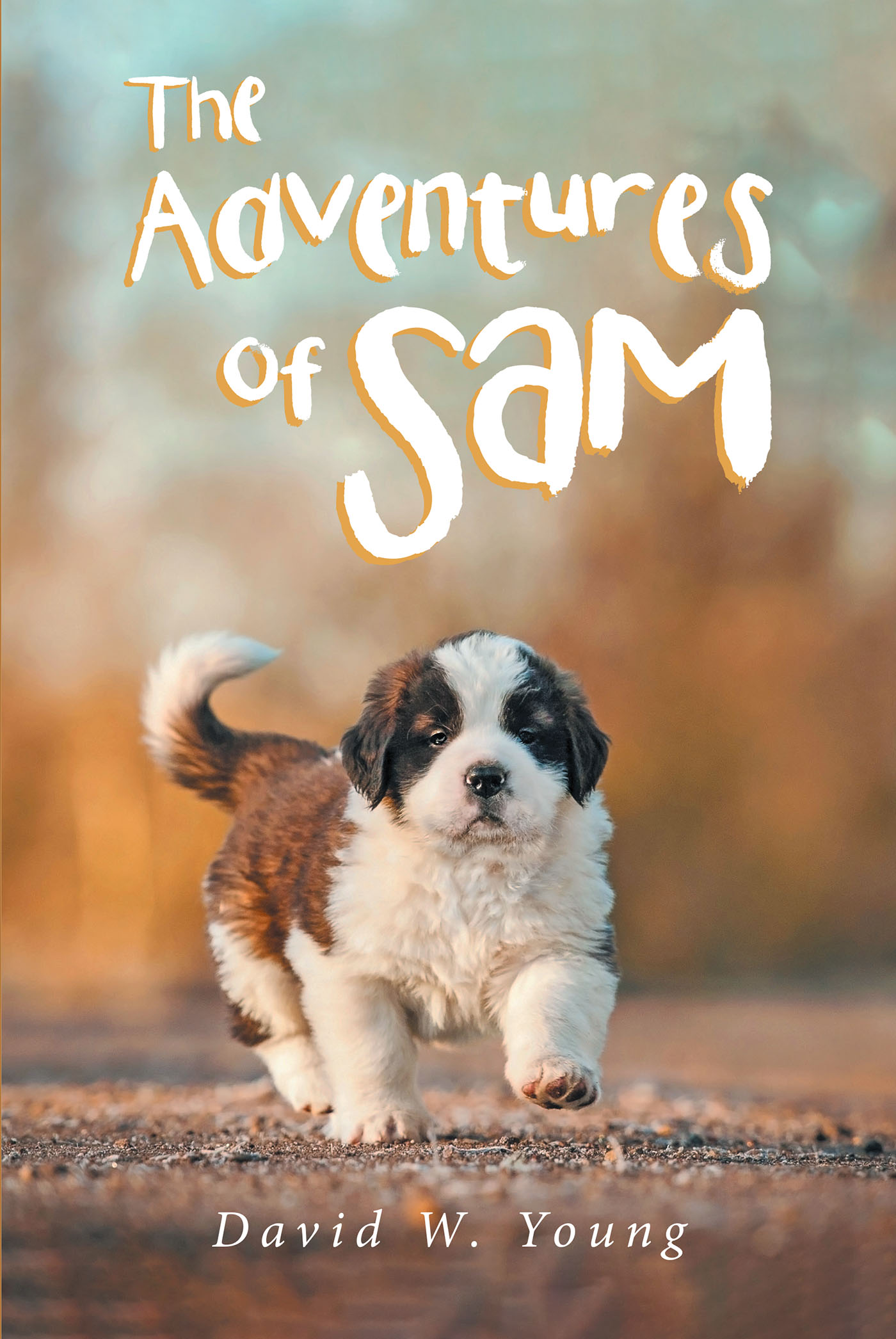 The Adventures of Sam  Cover Image