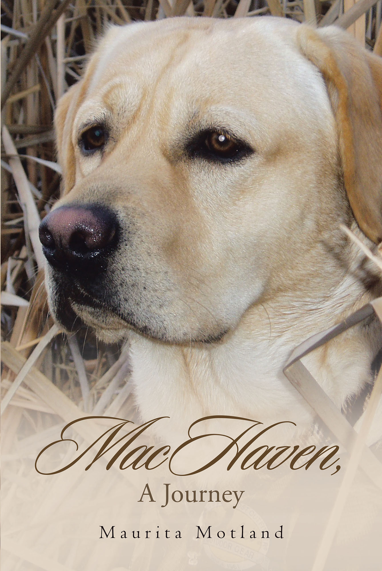 MacHaven, A Journey Cover Image