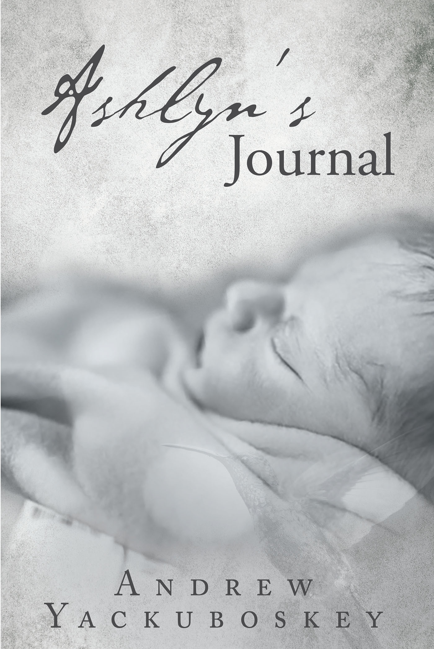 Ashlyn's Journal Cover Image