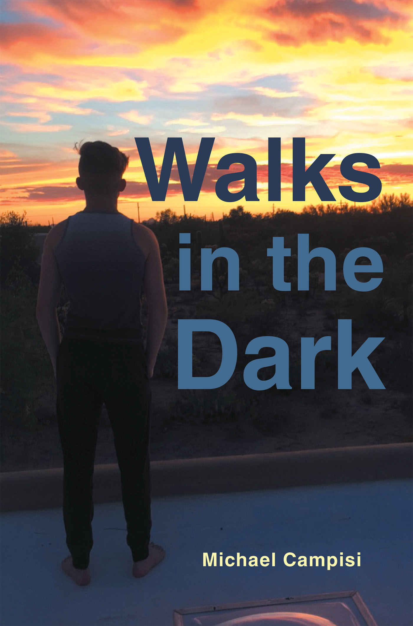 Walks in the Dark Cover Image