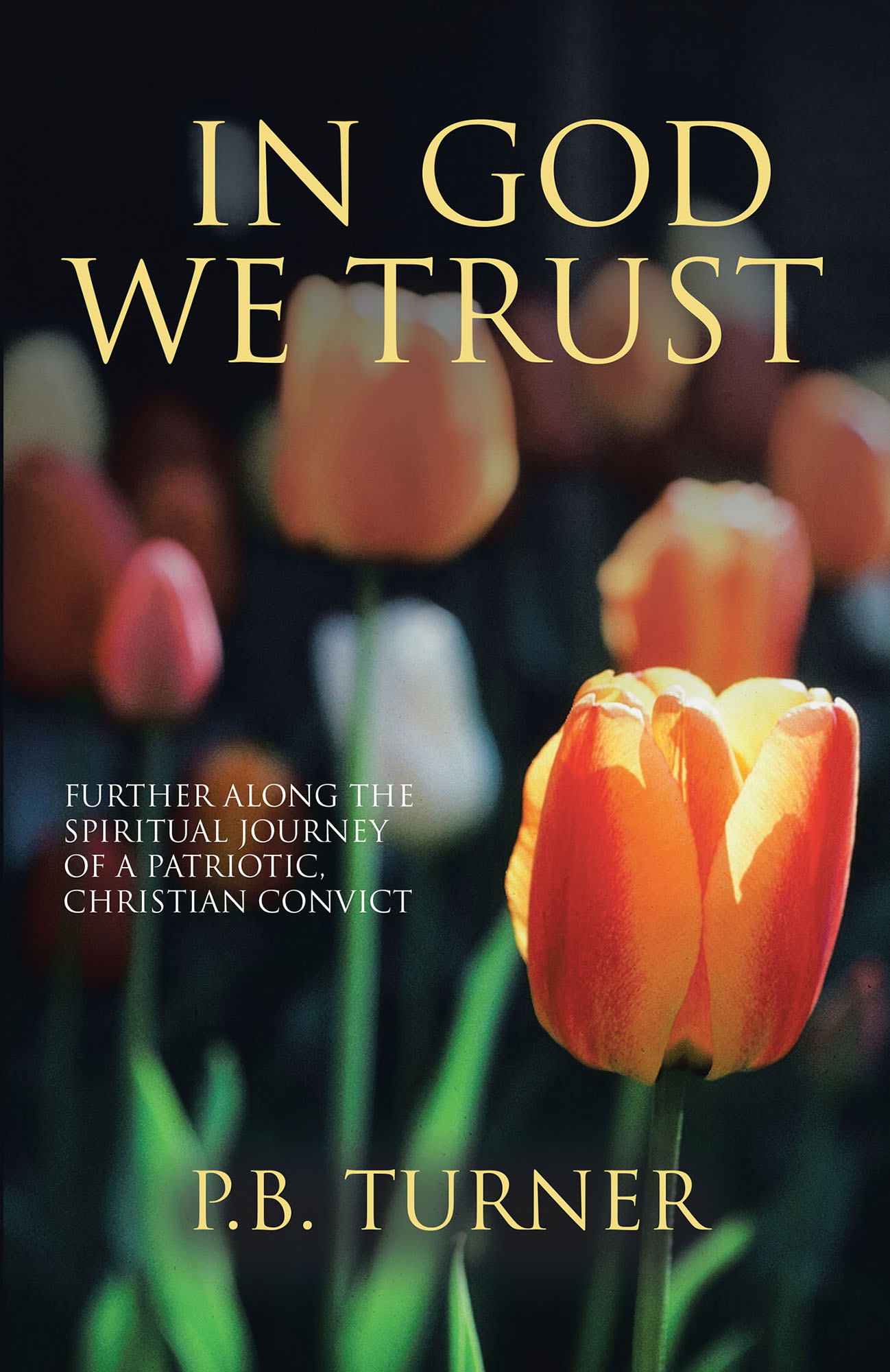In God We Trust Cover Image