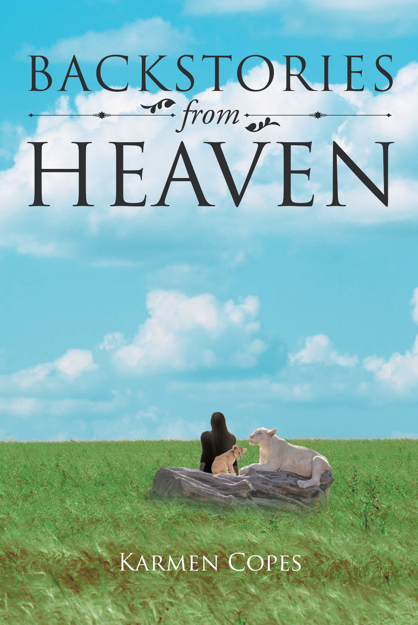 Backstories from Heaven Cover Image
