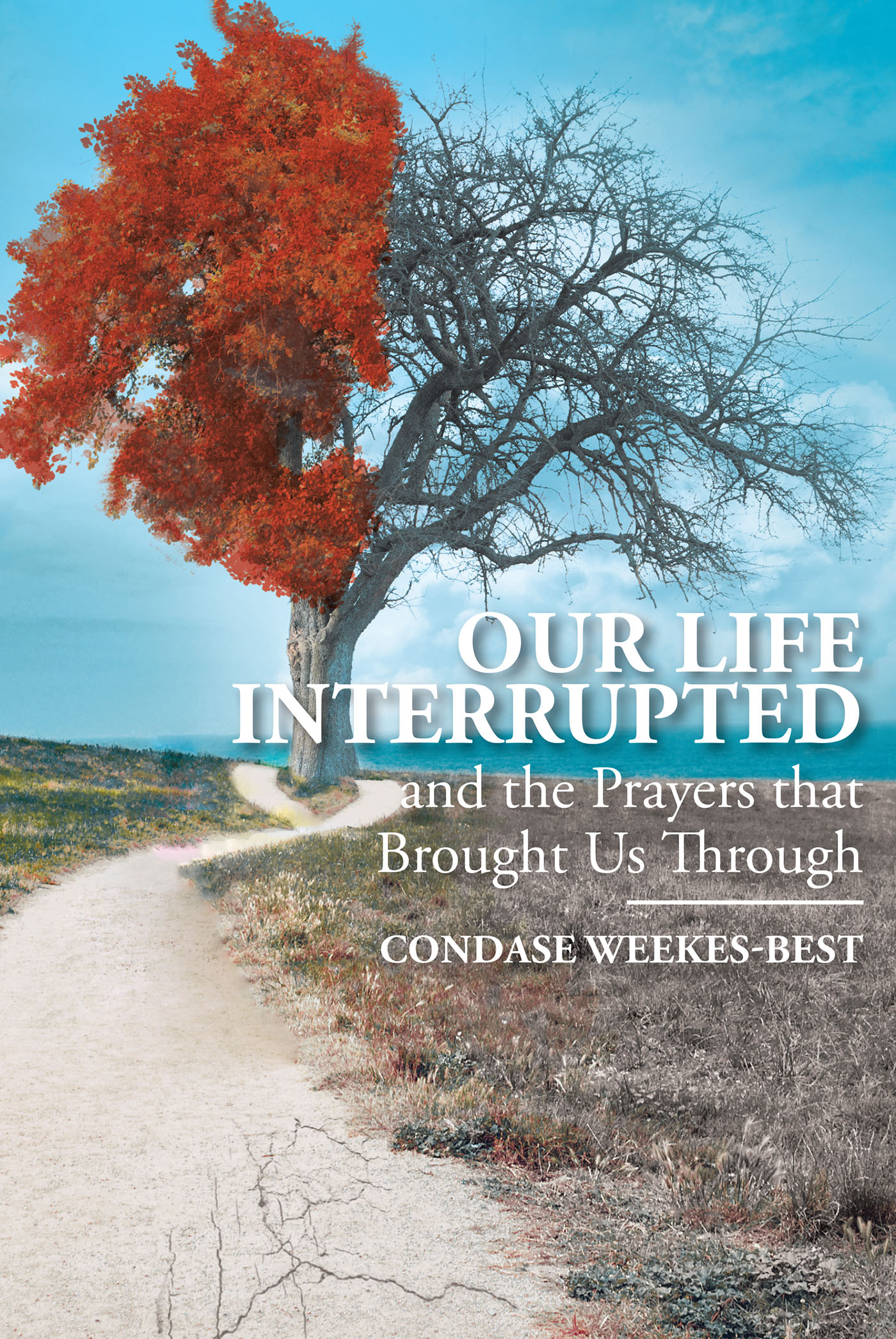 Our Life Interrupted Cover Image