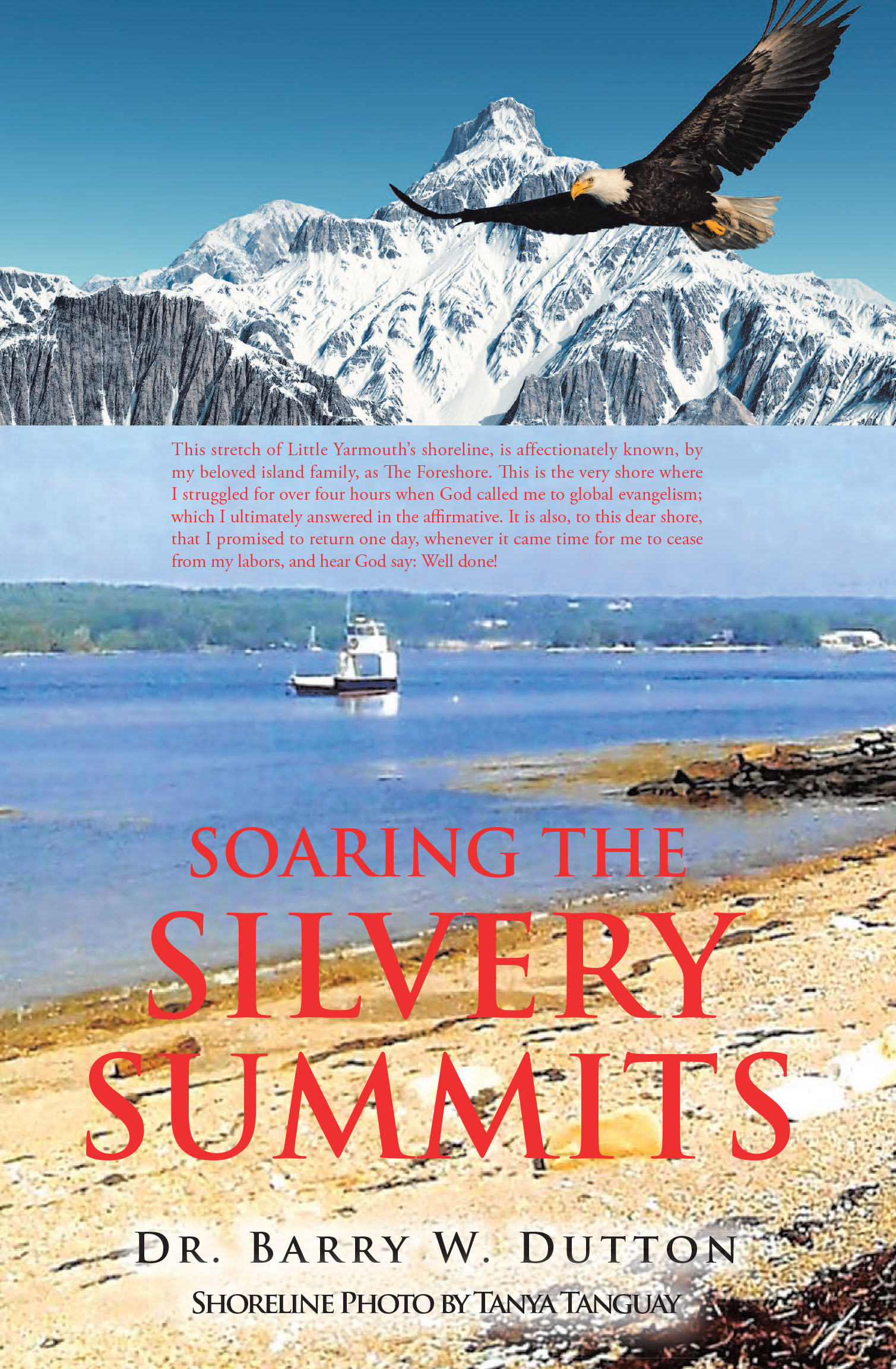 Soaring the Silvery Summits Cover Image