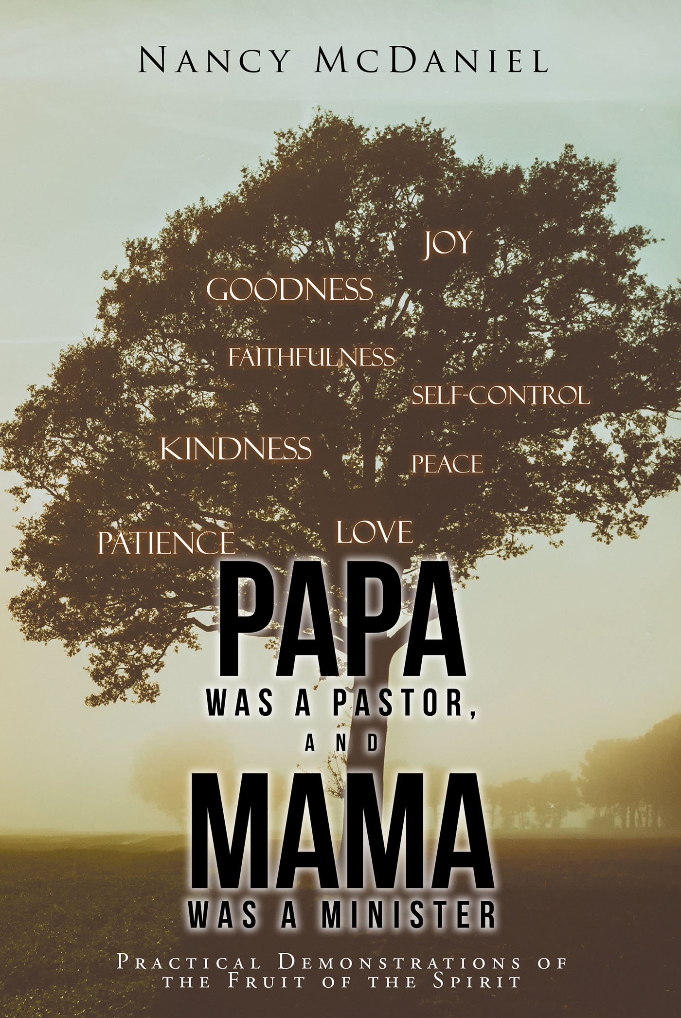 Papa Was a Pastor, and Mama Was a Minister Cover Image