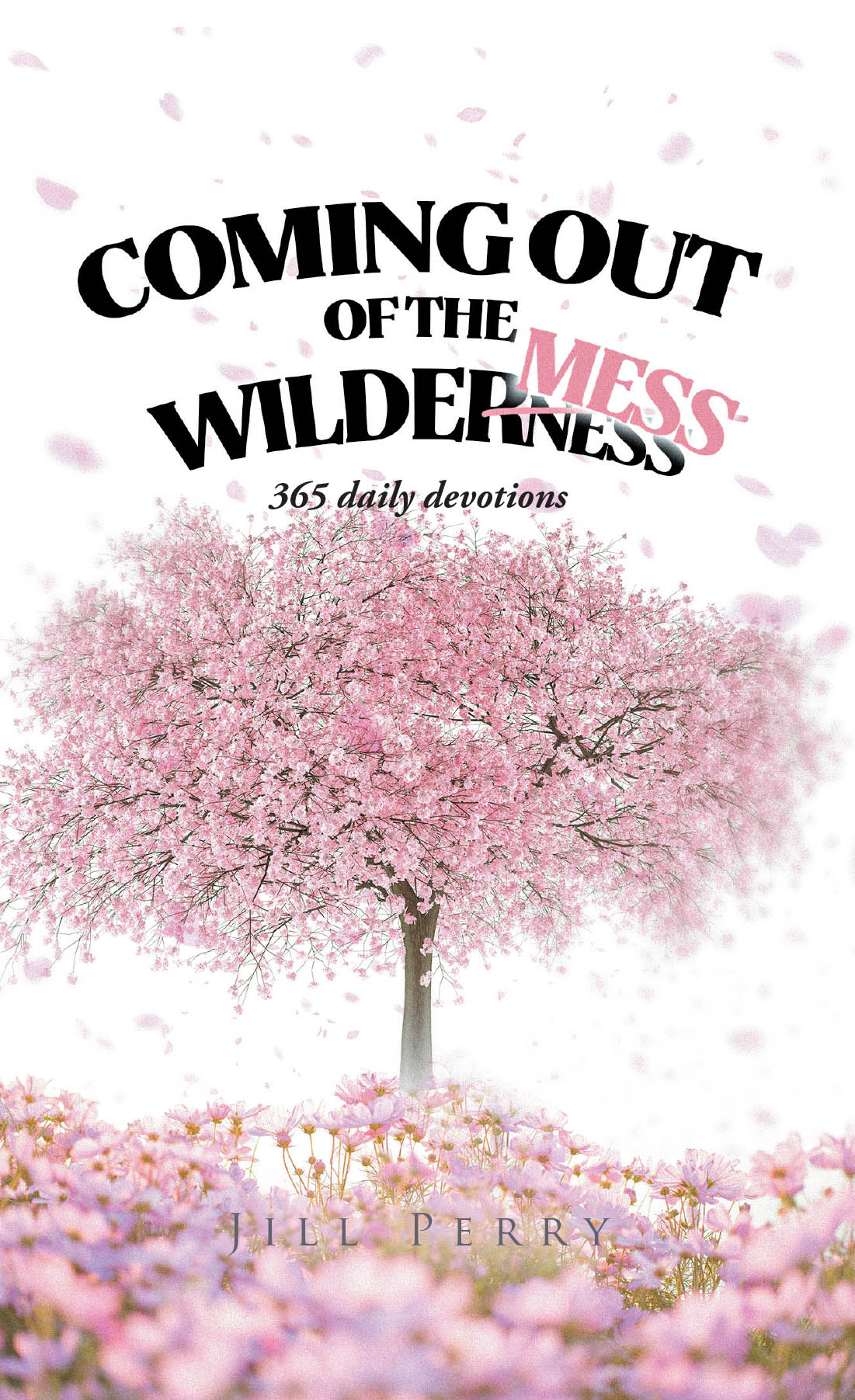 Coming Out of the WilderMess Cover Image