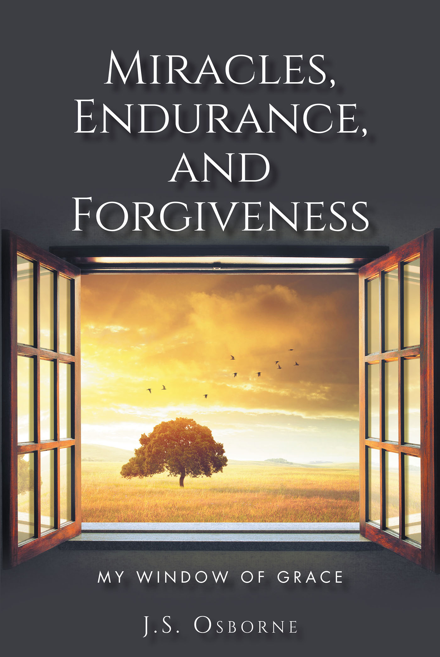 Miracles, Endurance, and Forgiveness Cover Image