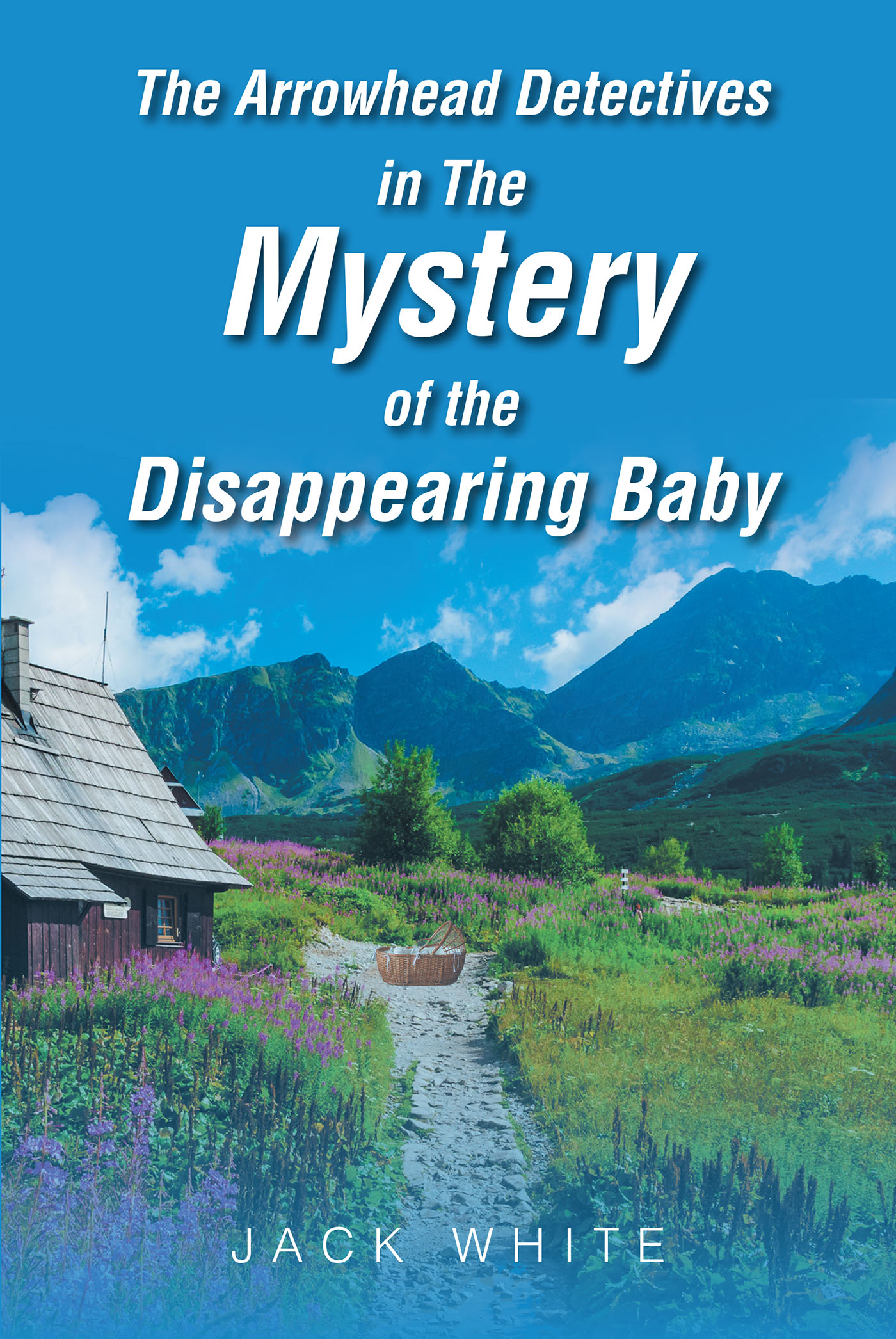 The Arrowhead Detectives in The Mystery of the Disappearing Baby Cover Image