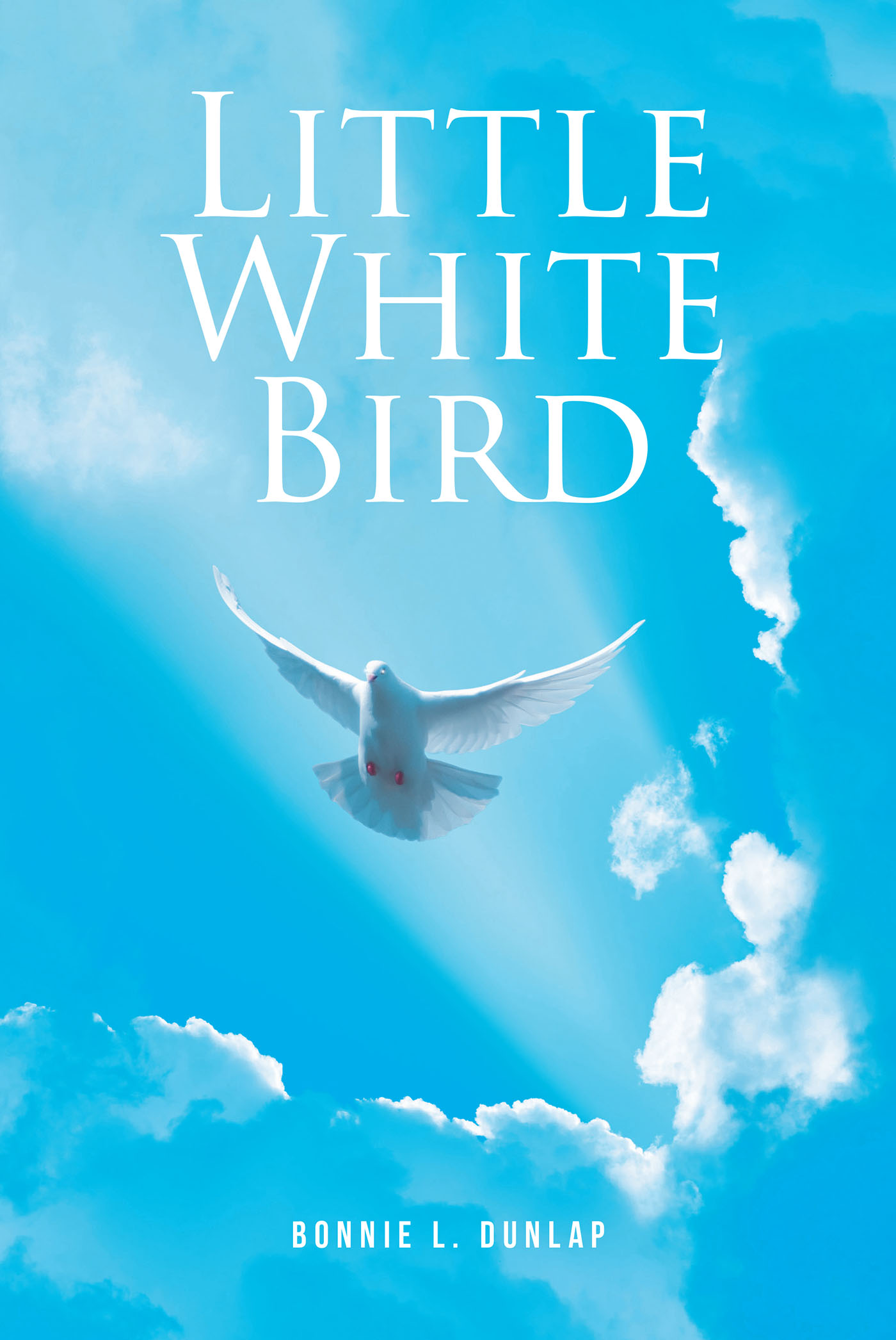 Little White Bird Cover Image