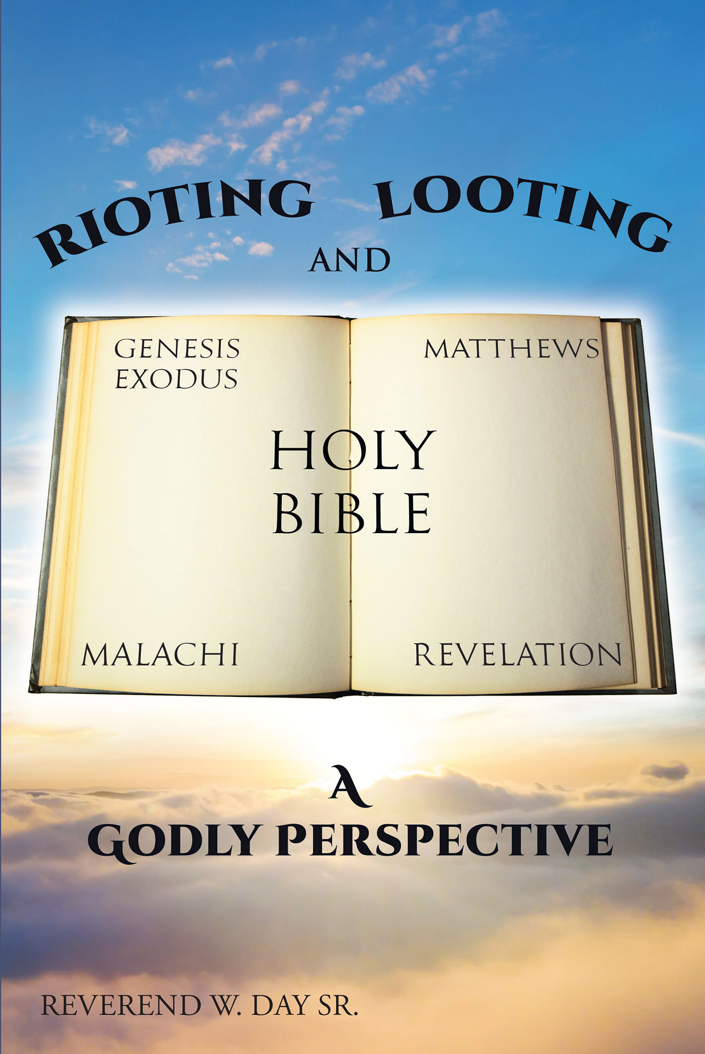 Rioting and Looting Cover Image