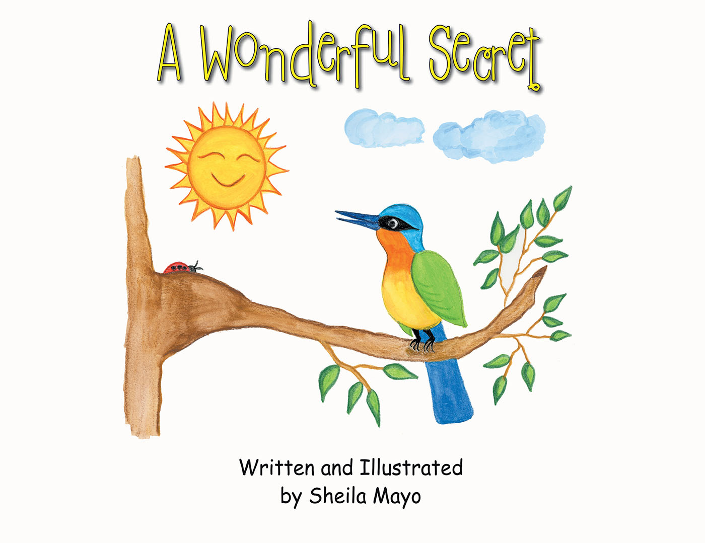 A Wonderful Secret Cover Image