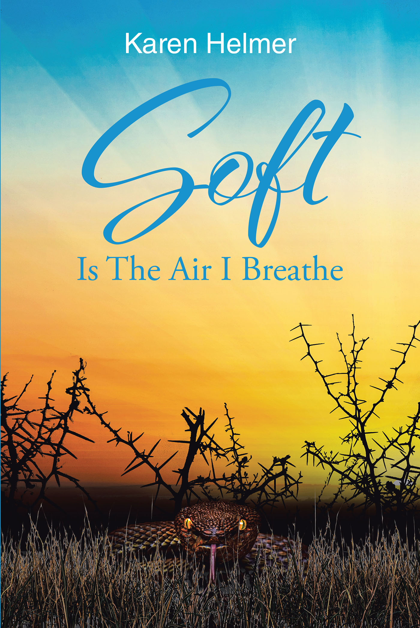 Soft Is The Air I Breathe Cover Image
