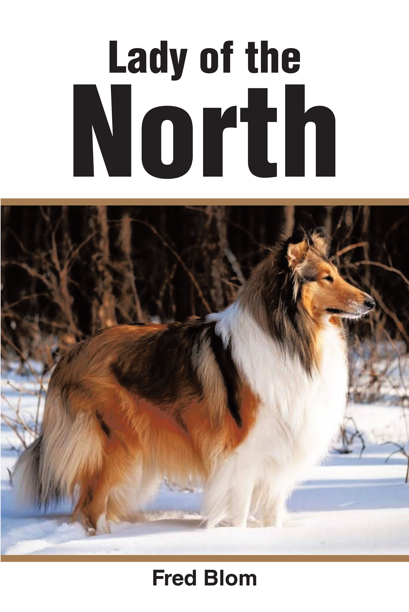 Lady of the North Cover Image