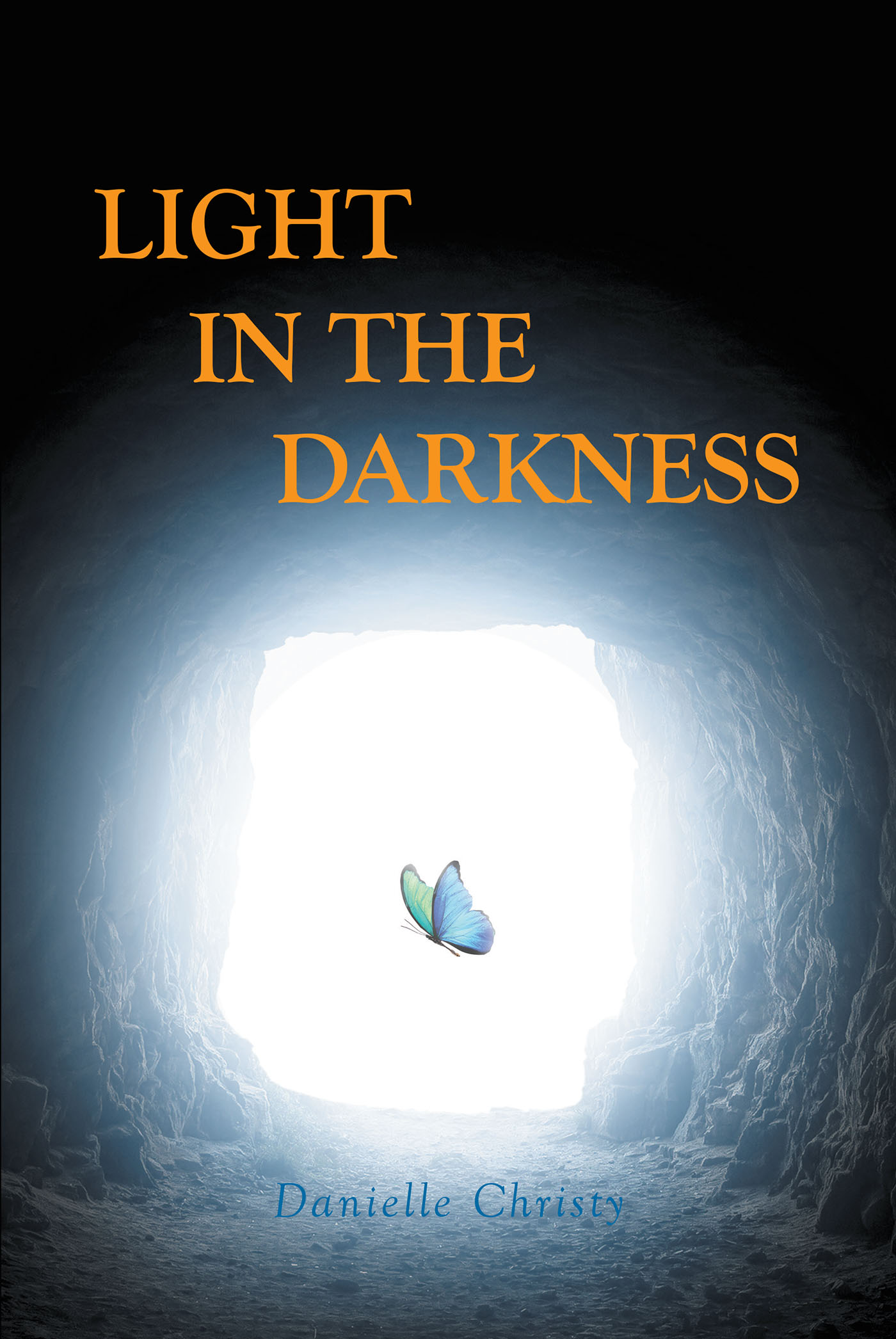 Light in the Darkness Cover Image