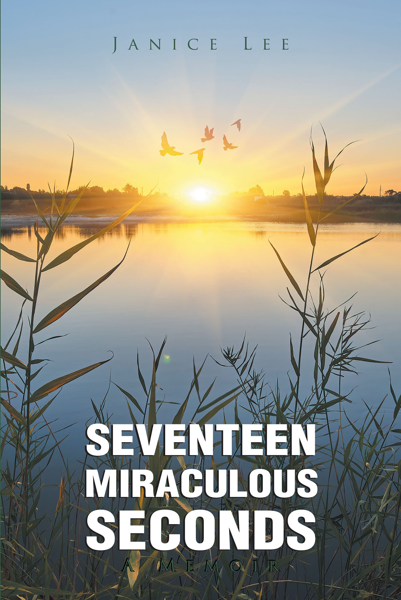 Seventeen Miraculous Seconds Cover Image
