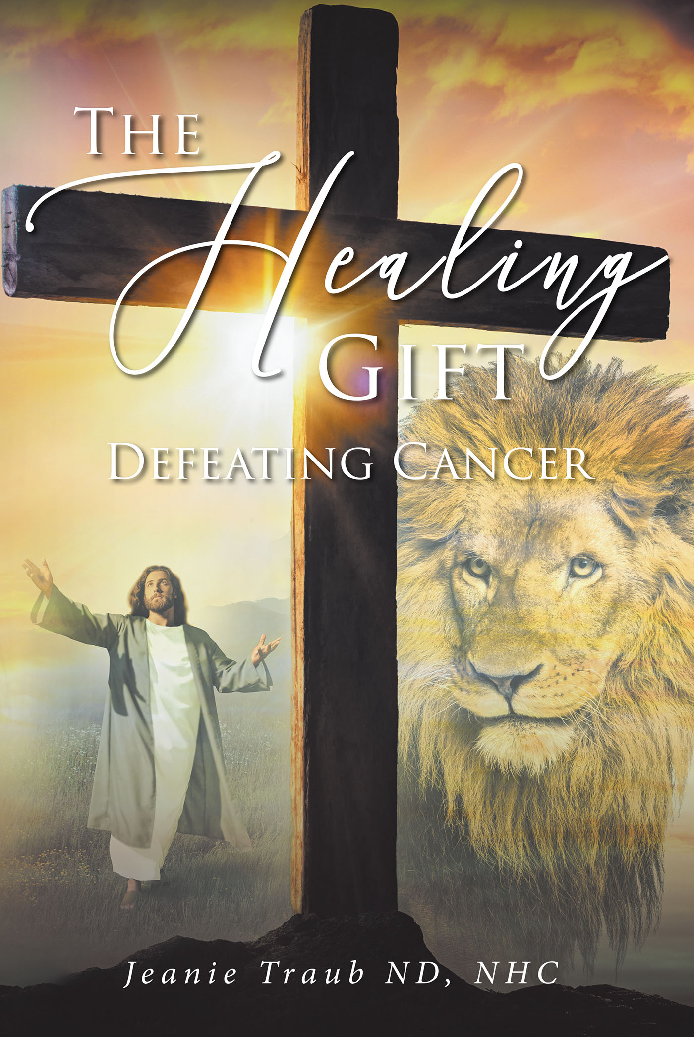 THE HEALING GIFT Cover Image