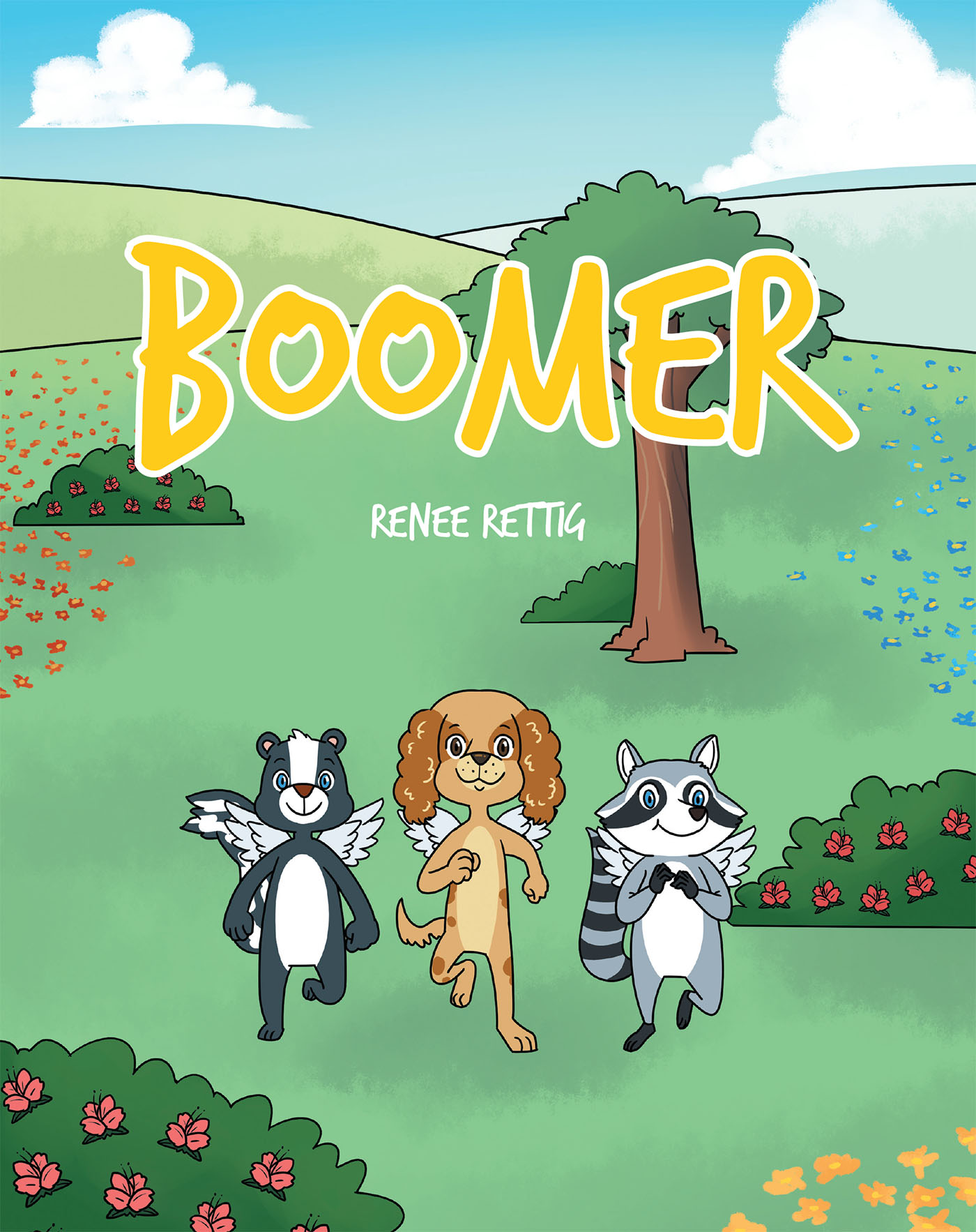 Boomer Cover Image