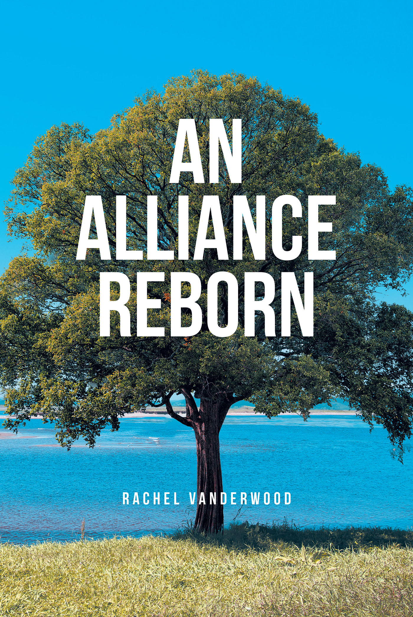 An Alliance Reborn Cover Image