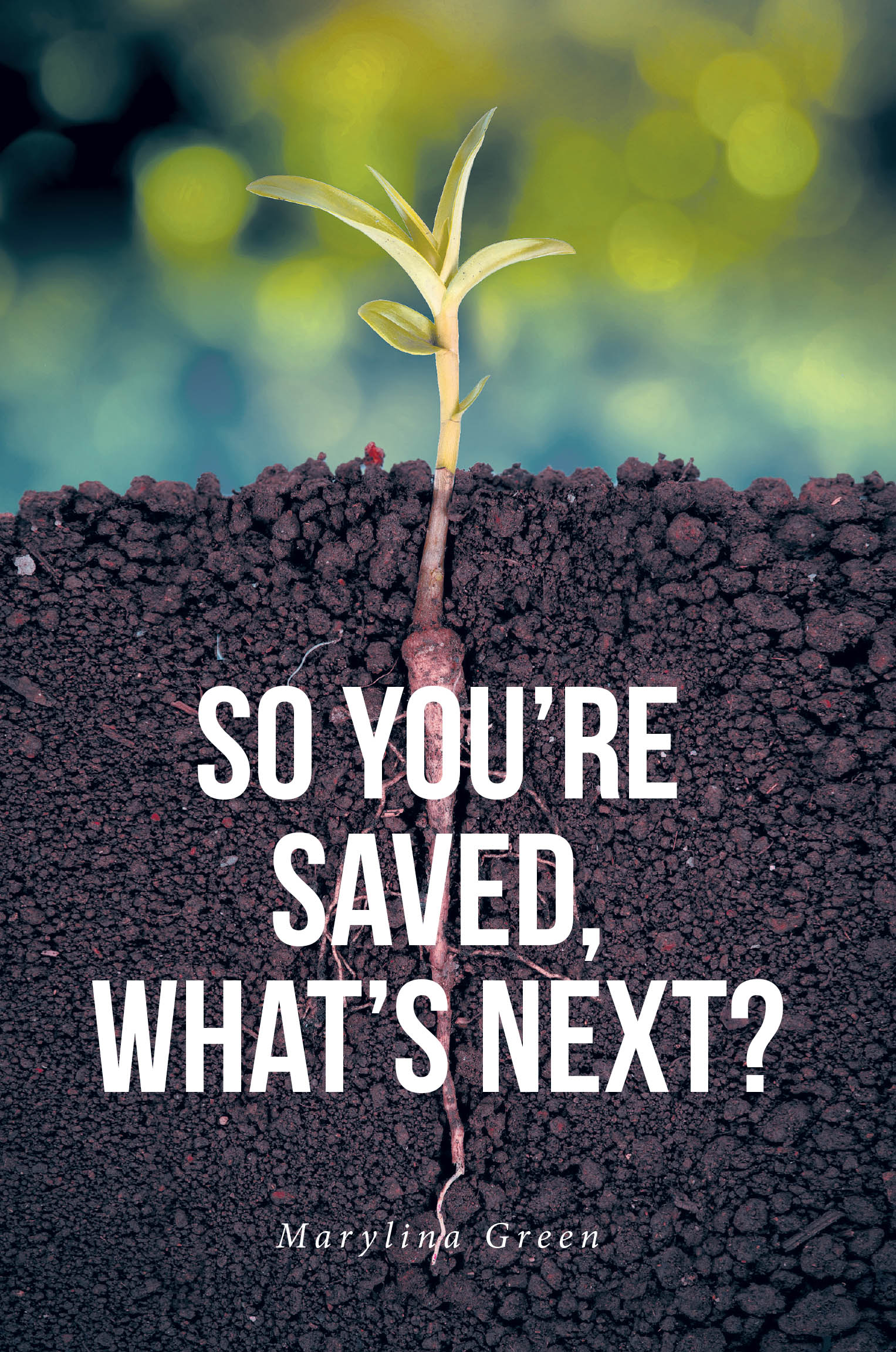 So You're Saved, What's Next? Cover Image
