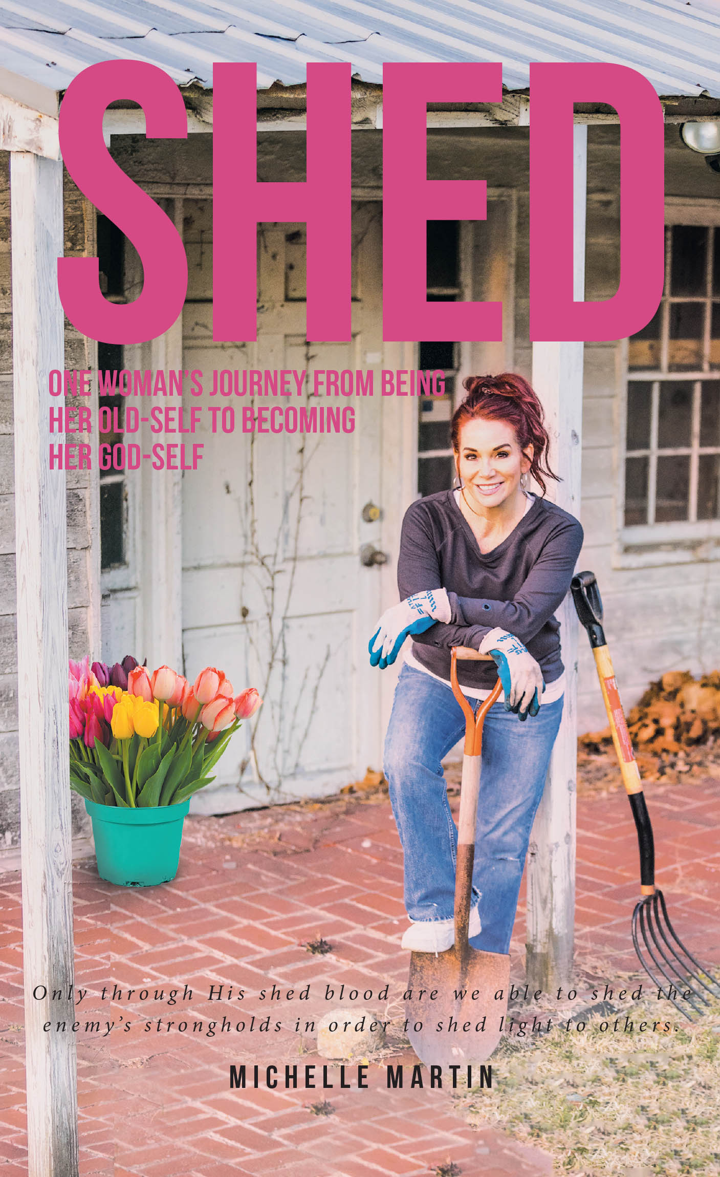 Shed Cover Image