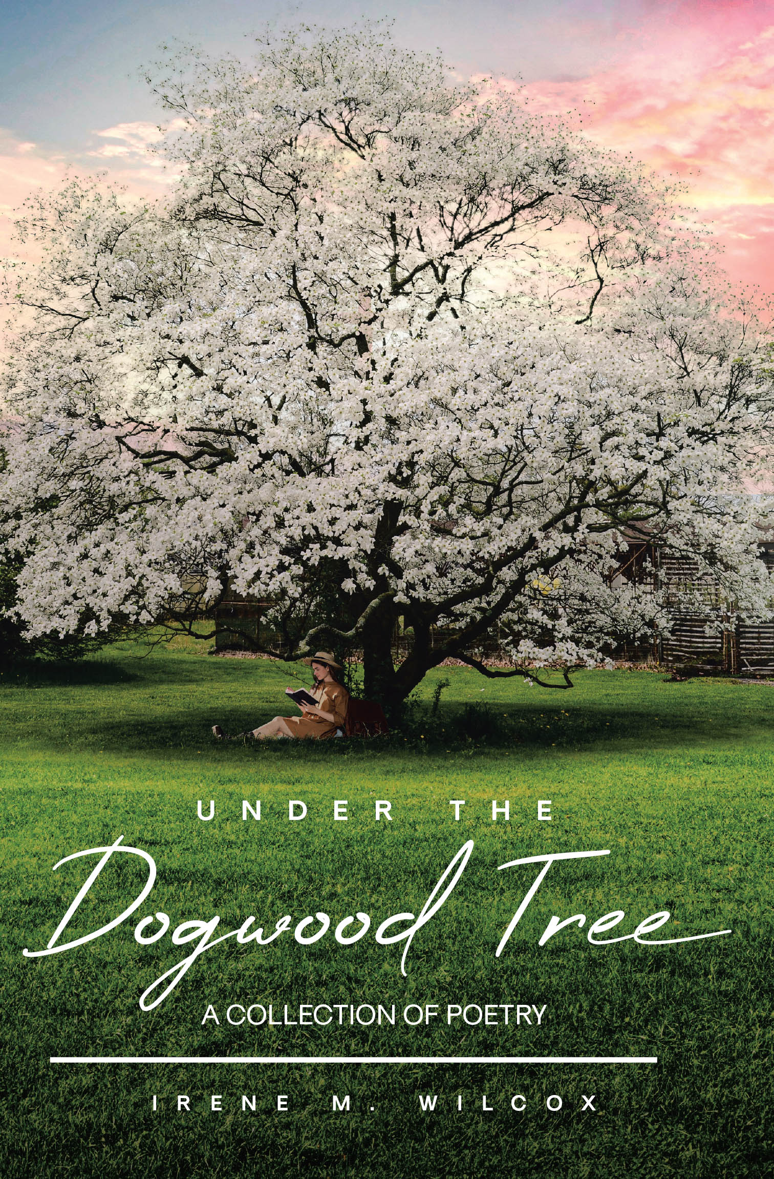 Under The Dogwood Tree Cover Image