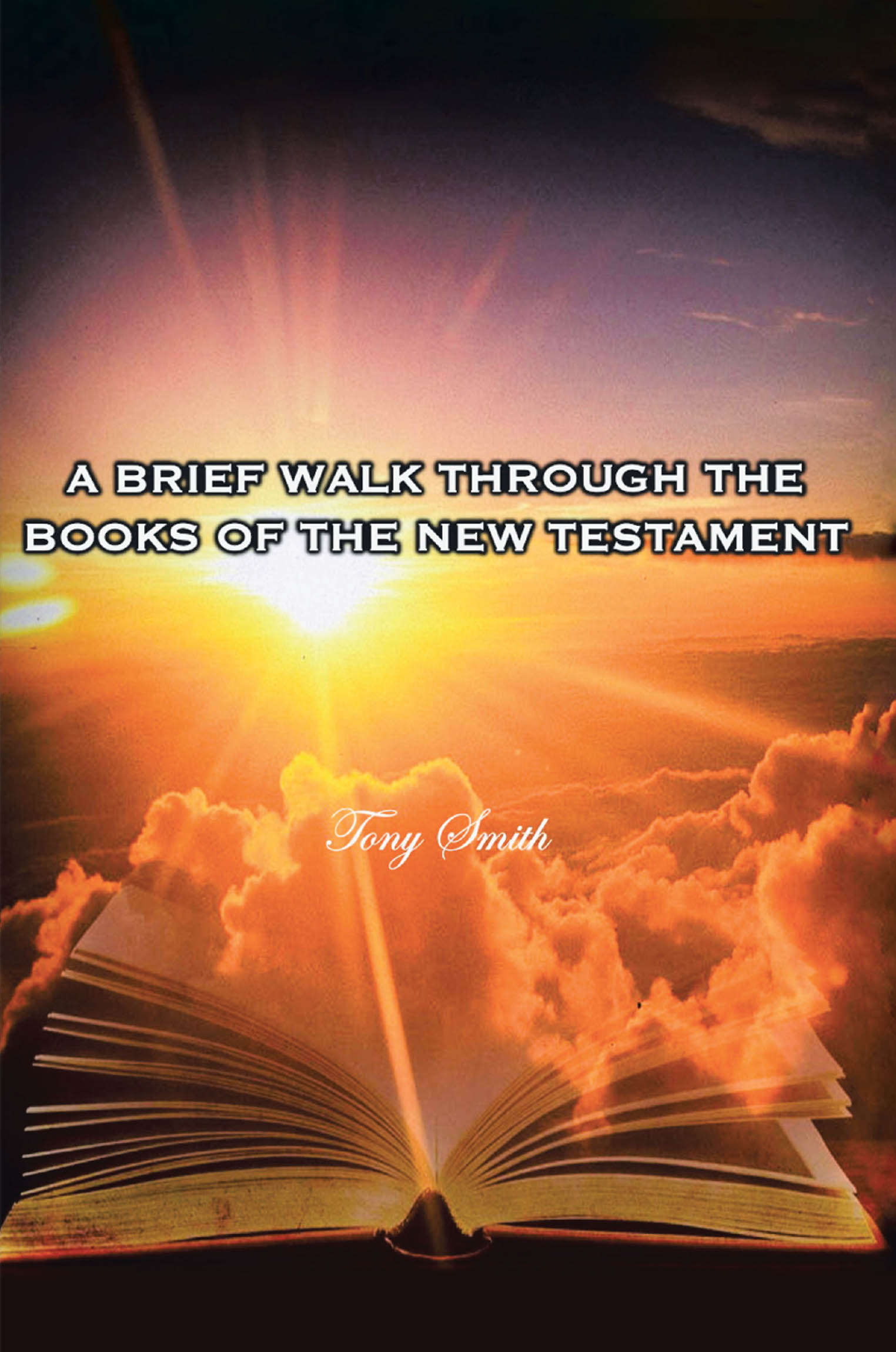 A Brief Walk through the Books of the New Testament Cover Image