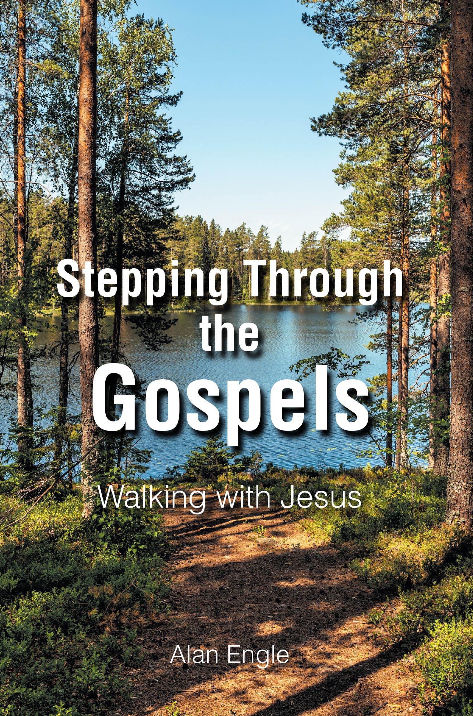 Stepping Through the Gospels Cover Image