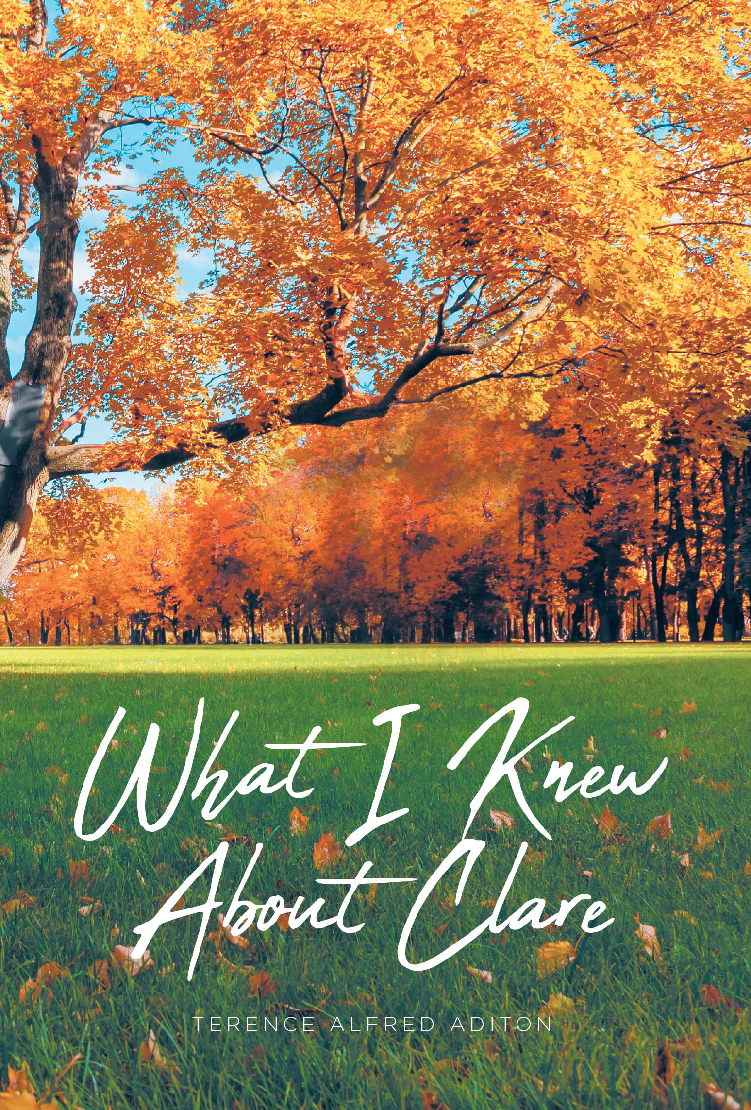 What I Knew About Clare Cover Image