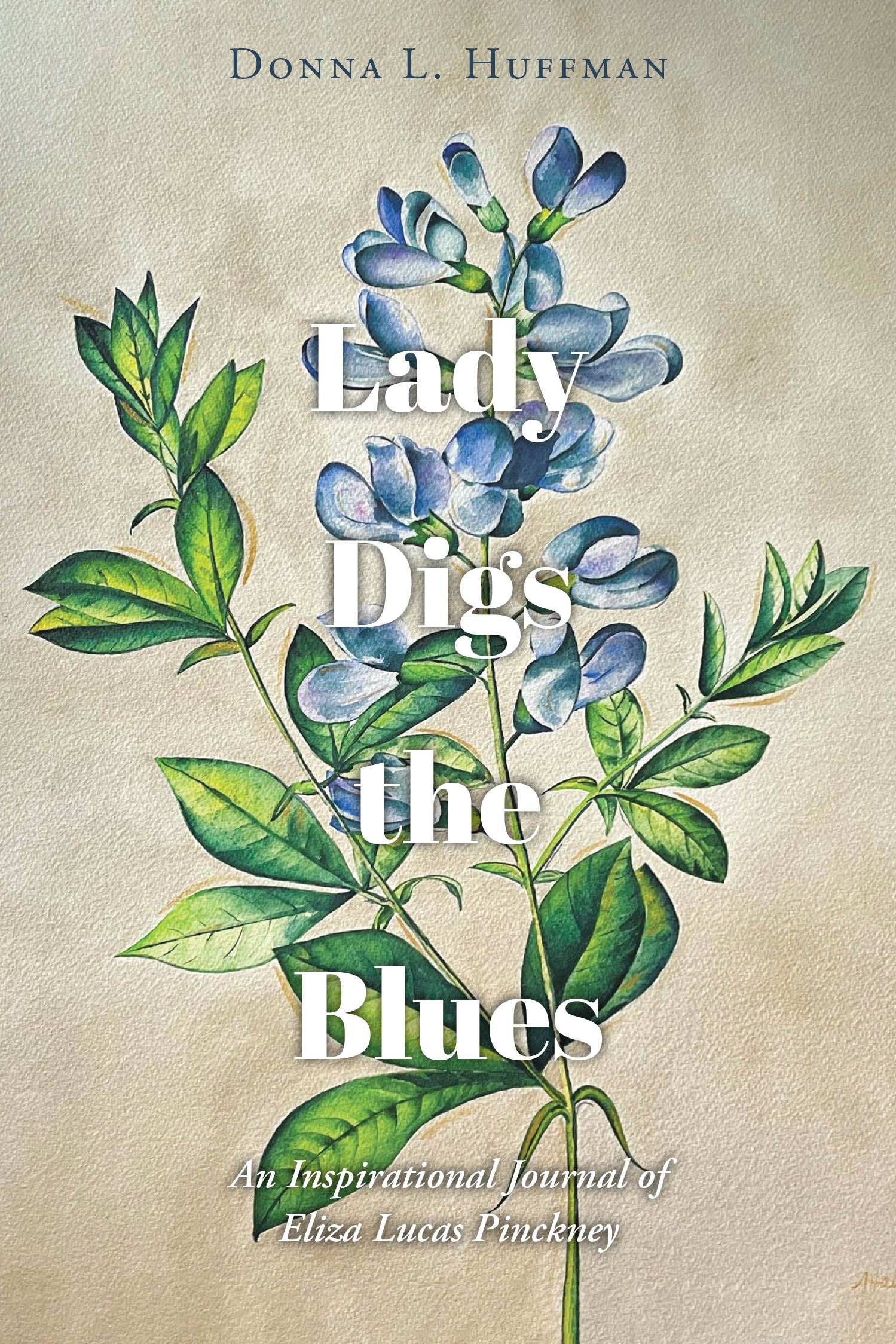 Lady Digs the Blues Cover Image